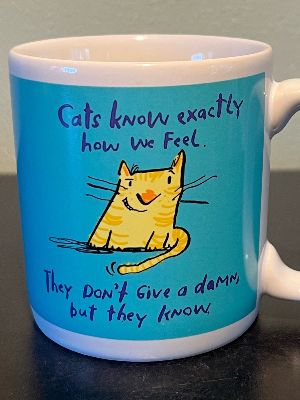Vtg Cats know exactly how we feel. They Don't Give a damn, but they know Mug Cup
